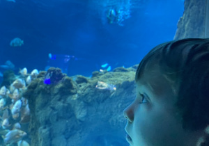 Zwiedzanie Orientarium