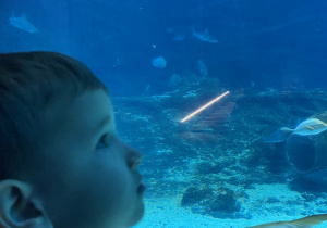 Zwiedzanie Orientarium