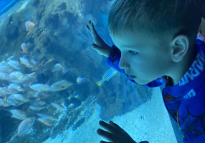 Zwiedzanie Orientarium