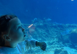 Zwiedzanie Orientarium