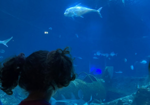 Zwiedzanie Orientarium