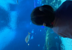 Zwiedzanie Orientarium