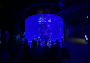 Zwiedzanie Orientarium