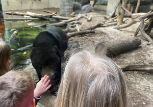 Zwiedzanie Orientarium