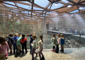 Zwiedzanie Orientarium