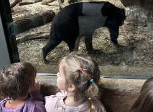 Wycieczka do Orientarium