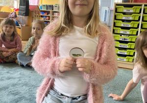 Motylek Cytrynek zajecia