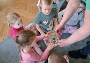 Dzień Ziemi