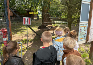 dzieci w zoo