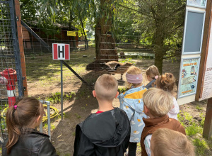 Zoo Borysew
