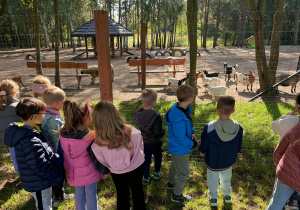 dzieci w zoo