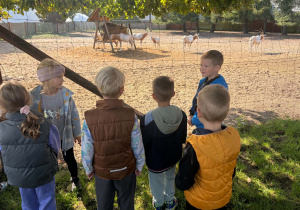 dzieci w zoo
