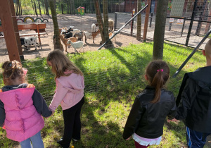 dzieci w zoo