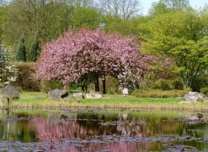 Wycieczka do Ogrodu Botanicznego w Łodzi