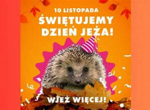 Dzień Jeża